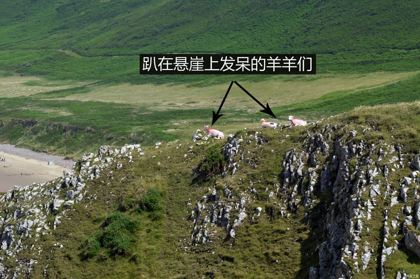 ֮
