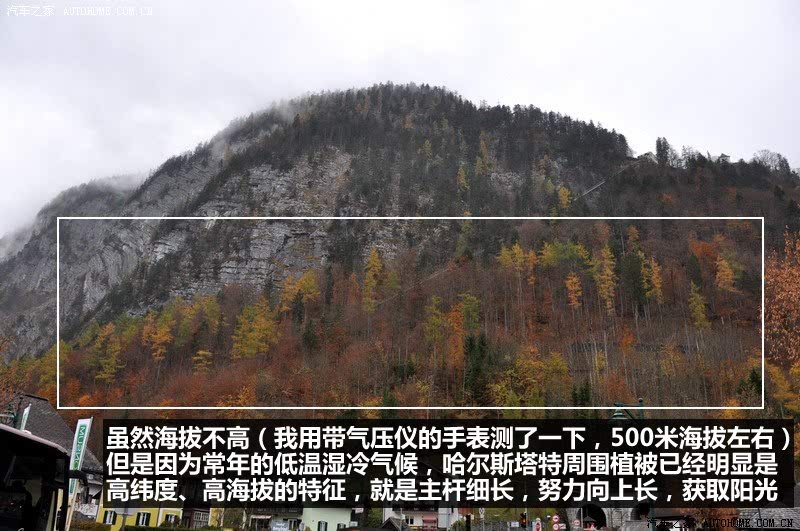 ֮