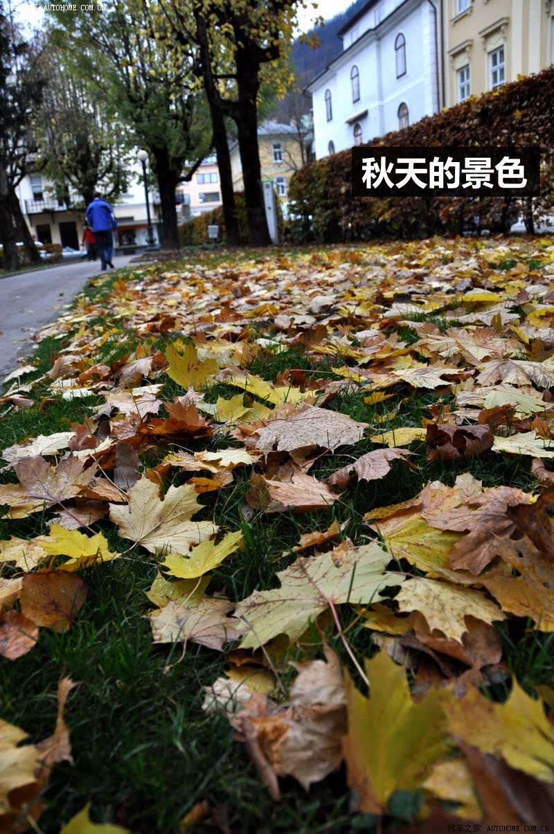 ֮