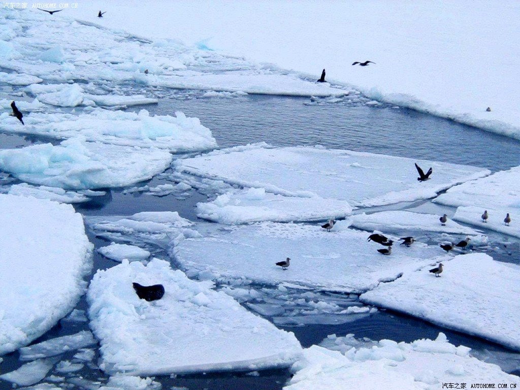 ֮