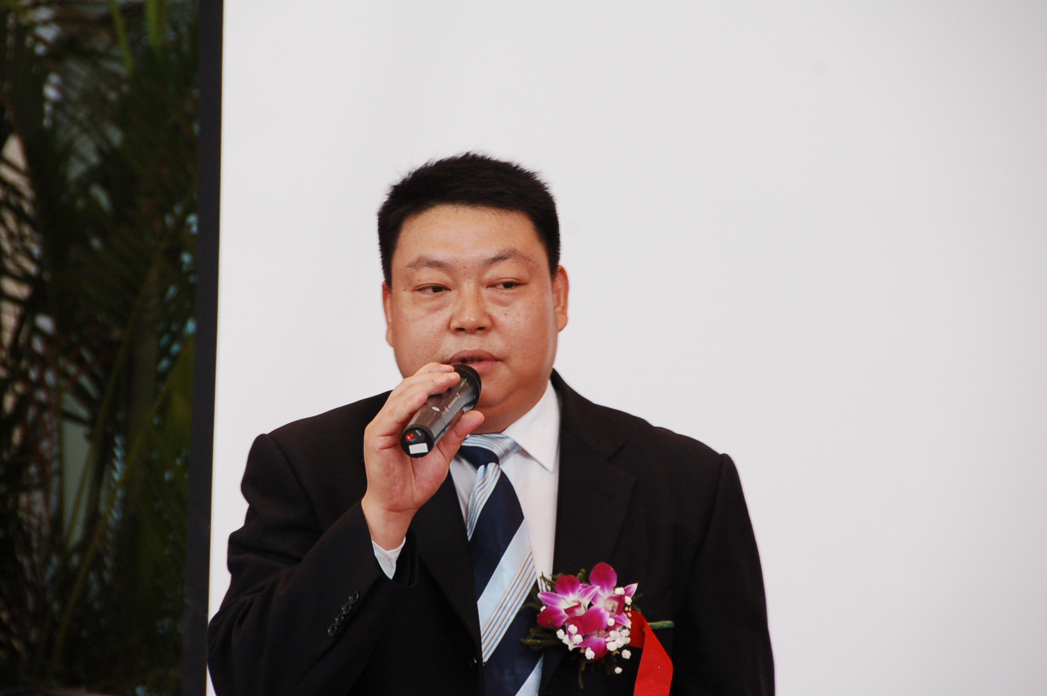 ֮