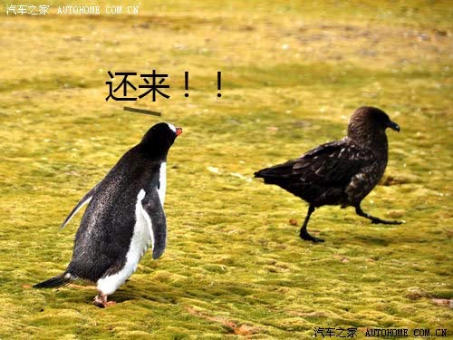 ֮