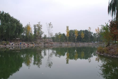 ֮