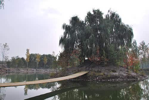 ֮