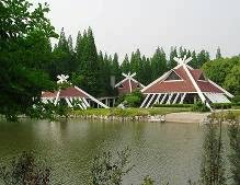 ֮
