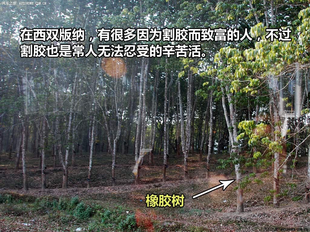 ֮