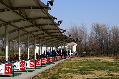֮