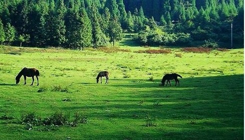 ֮