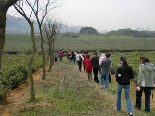֮
