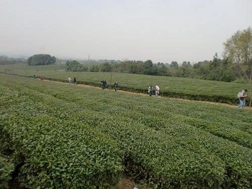֮