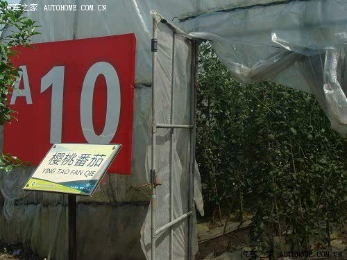 ֮