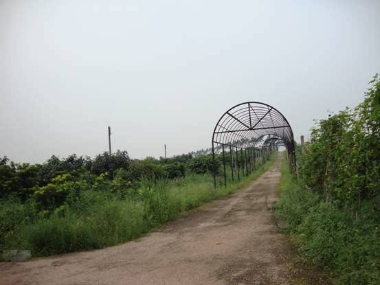 ֮