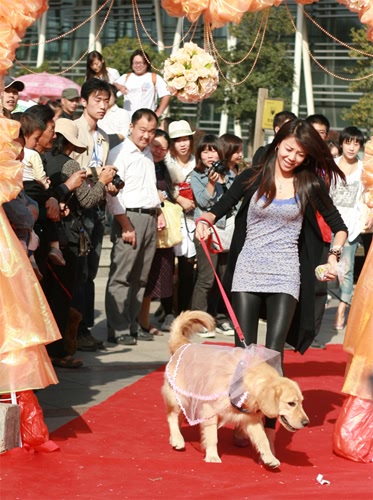֮