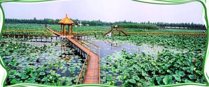 ֮