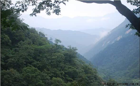 ֮