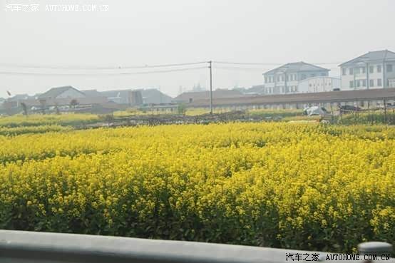֮