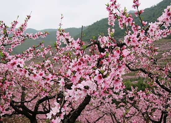 ֮
