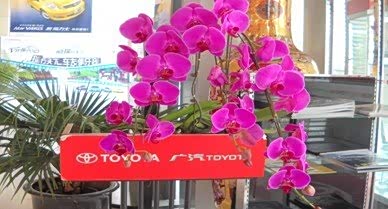 ֮