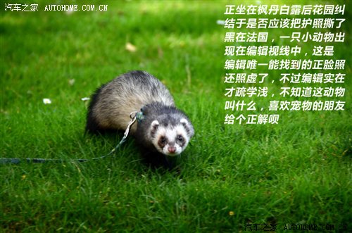 ֮