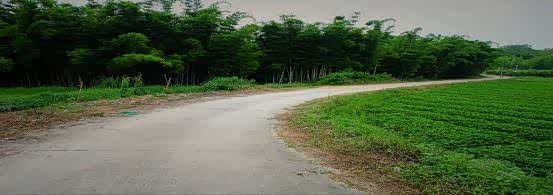 ֮