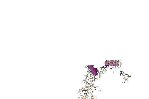 ֮