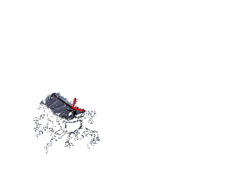 ֮