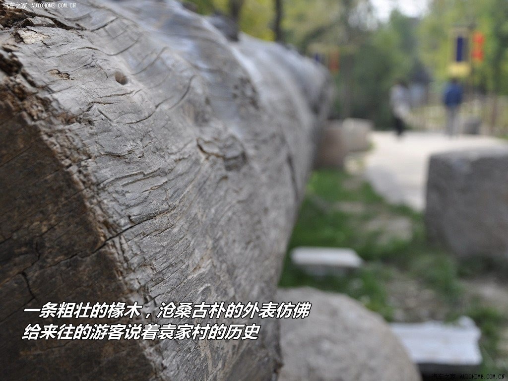 ֮