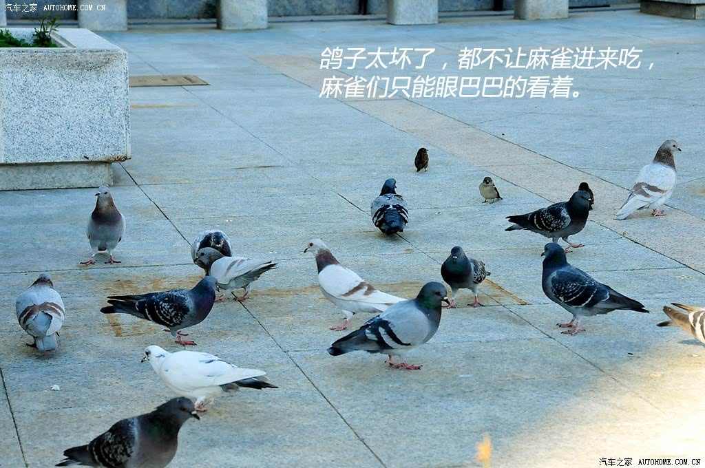 ֮