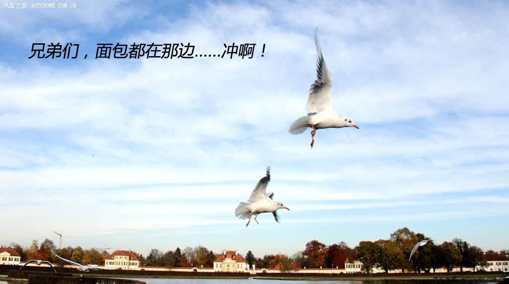֮