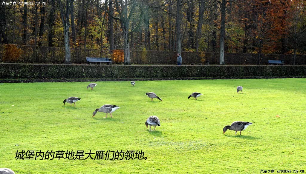 ֮