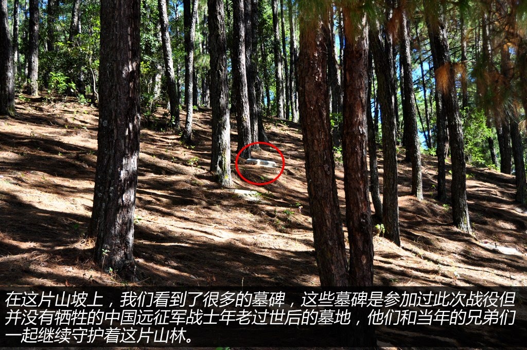 ֮