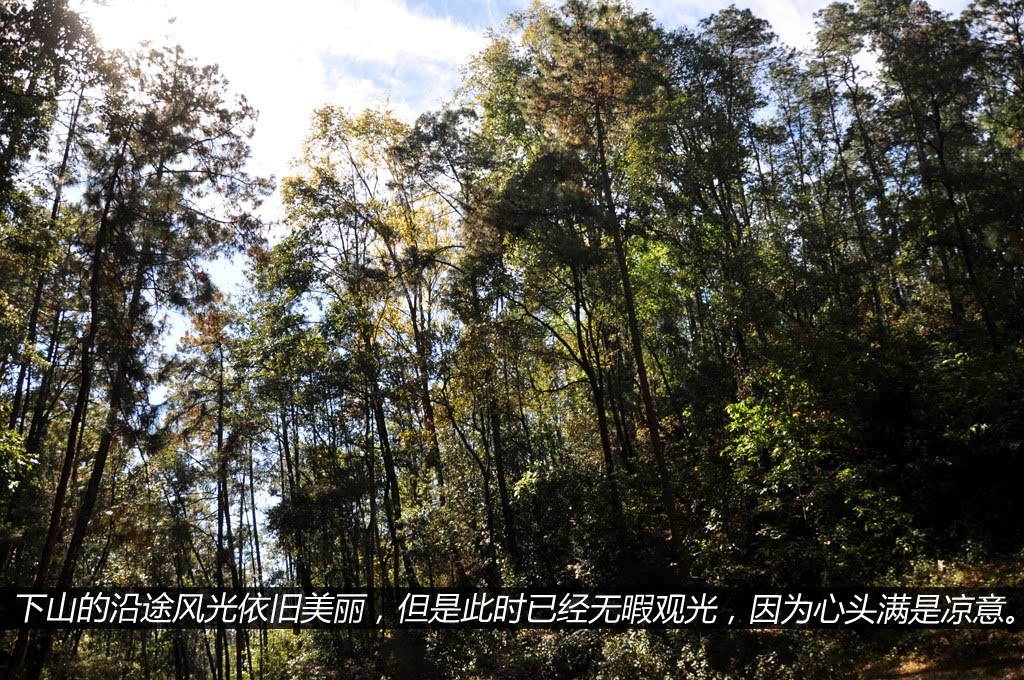 ֮