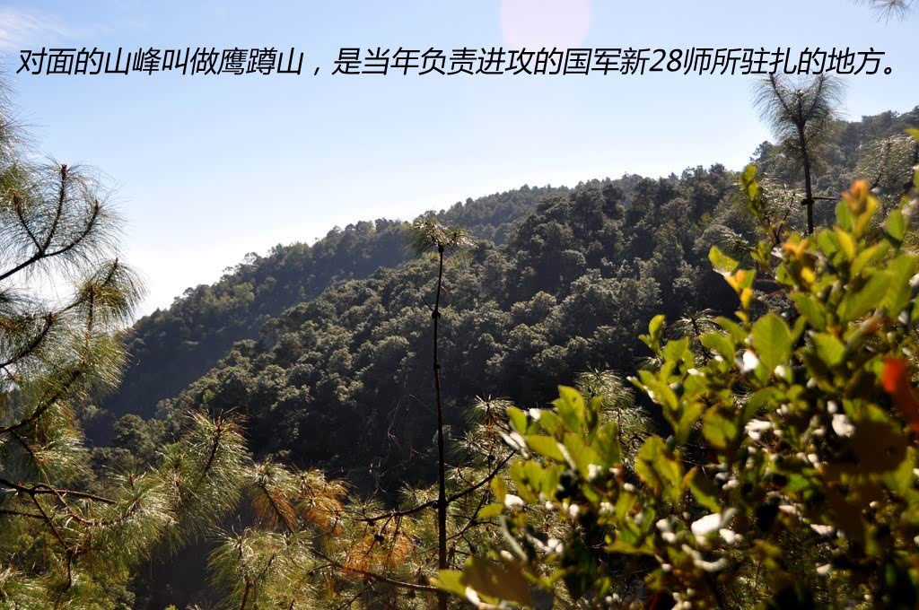 ֮