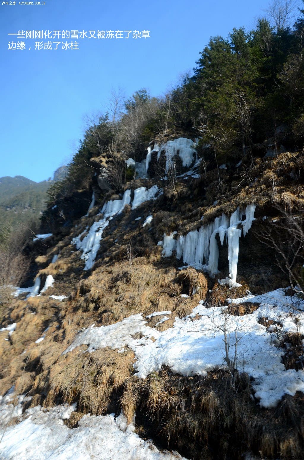 ֮