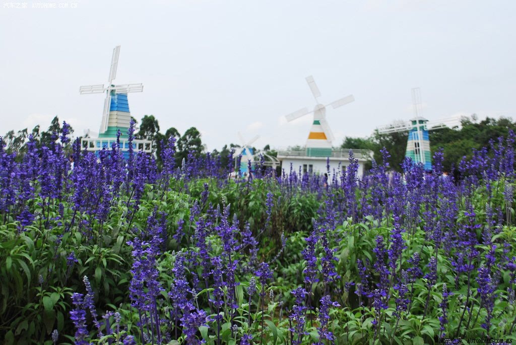 ֮