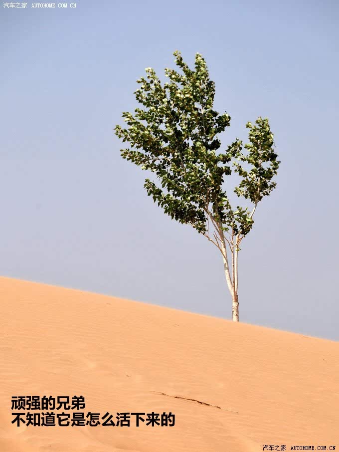 ֮