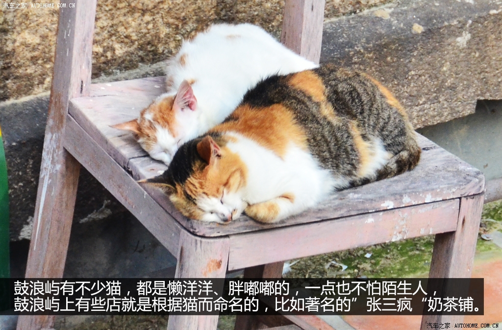 ֮