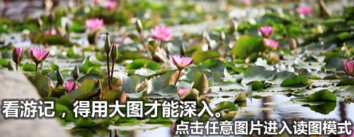 ֮