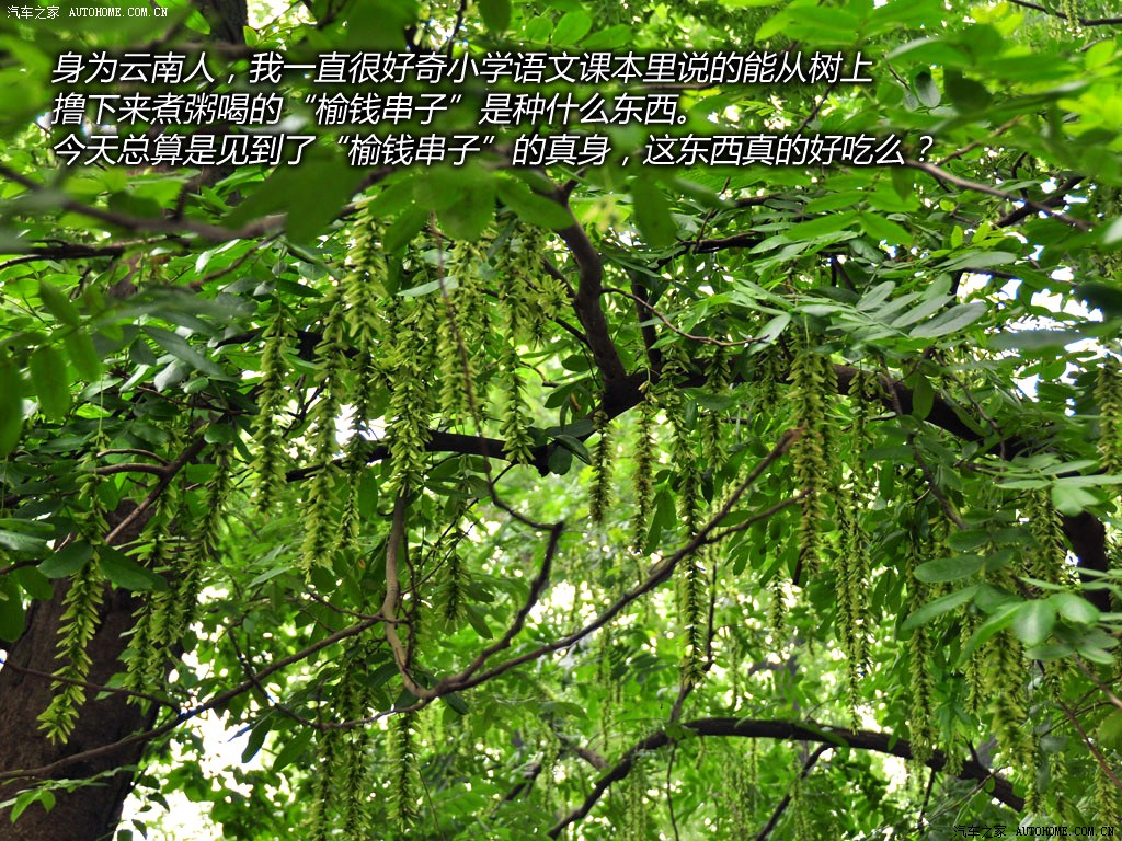 ֮