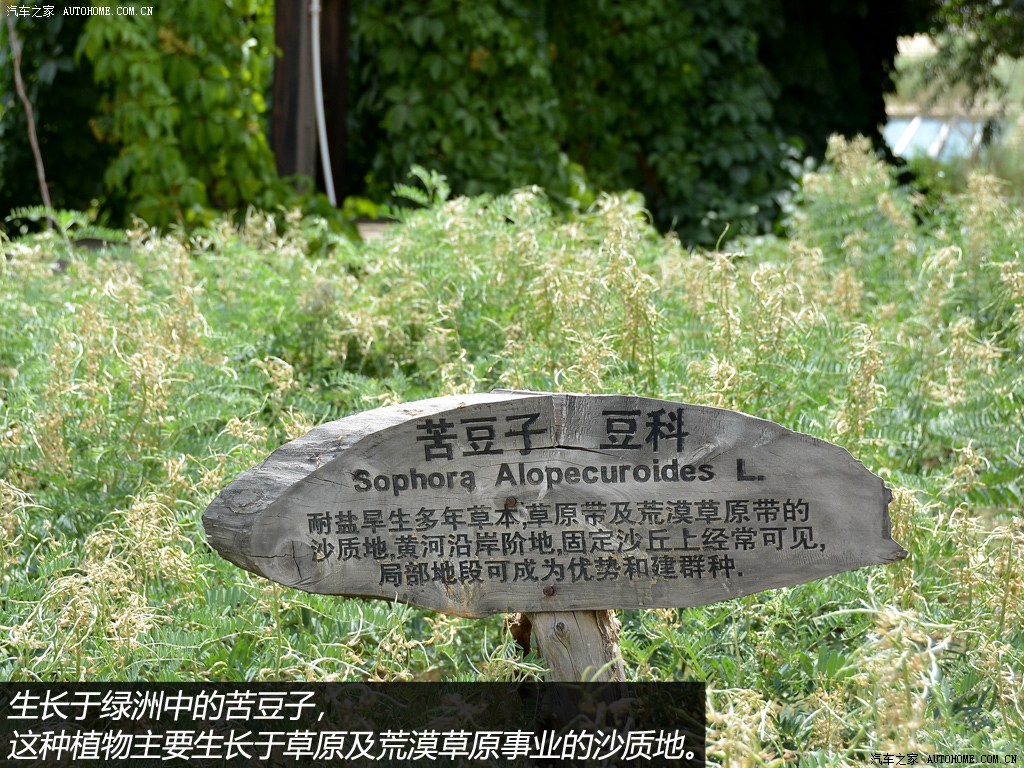 ֮