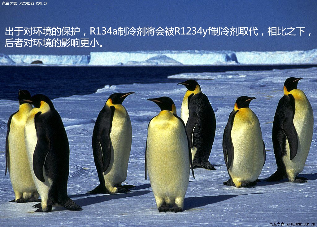 ֮