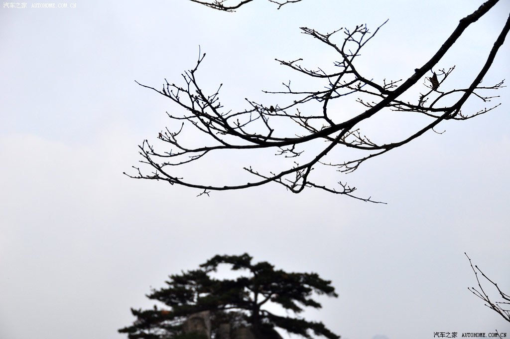 ֮