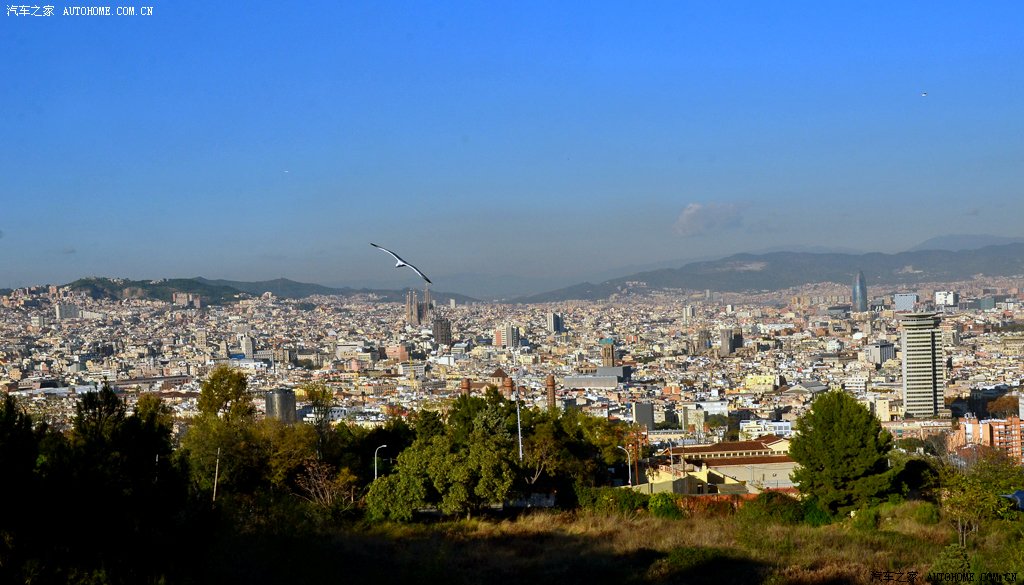 ֮