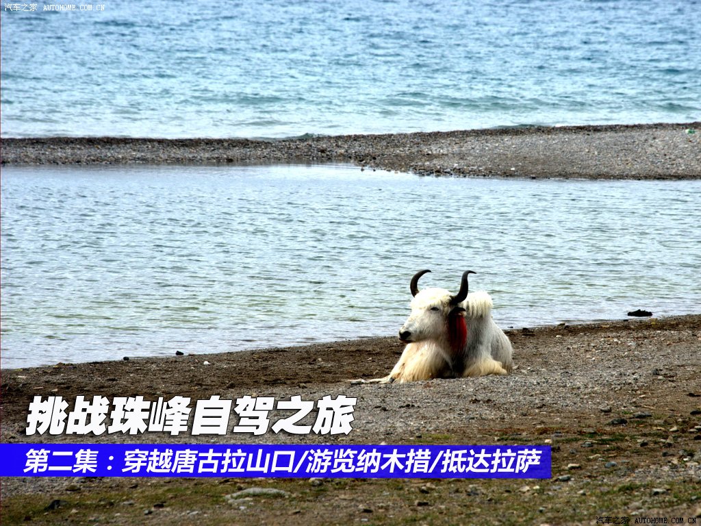 ֮
