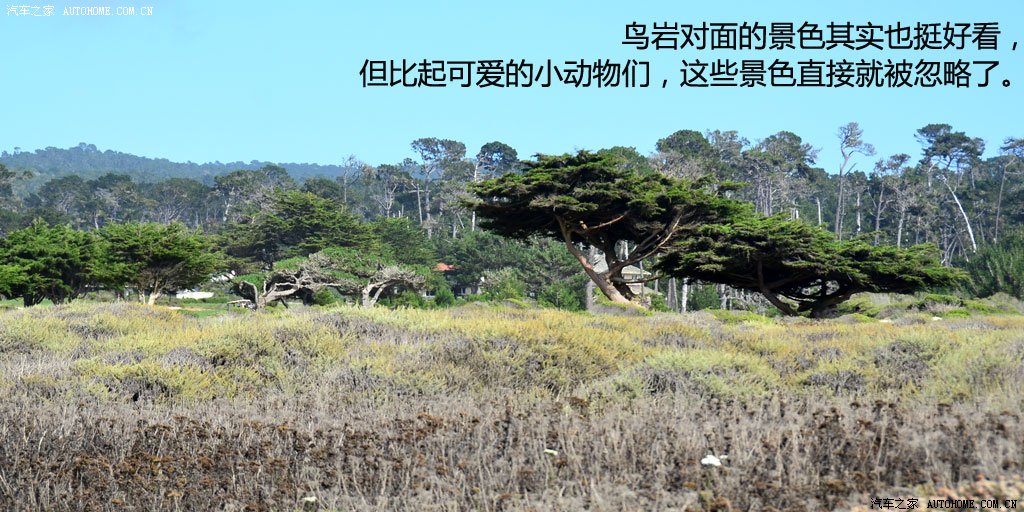 ֮