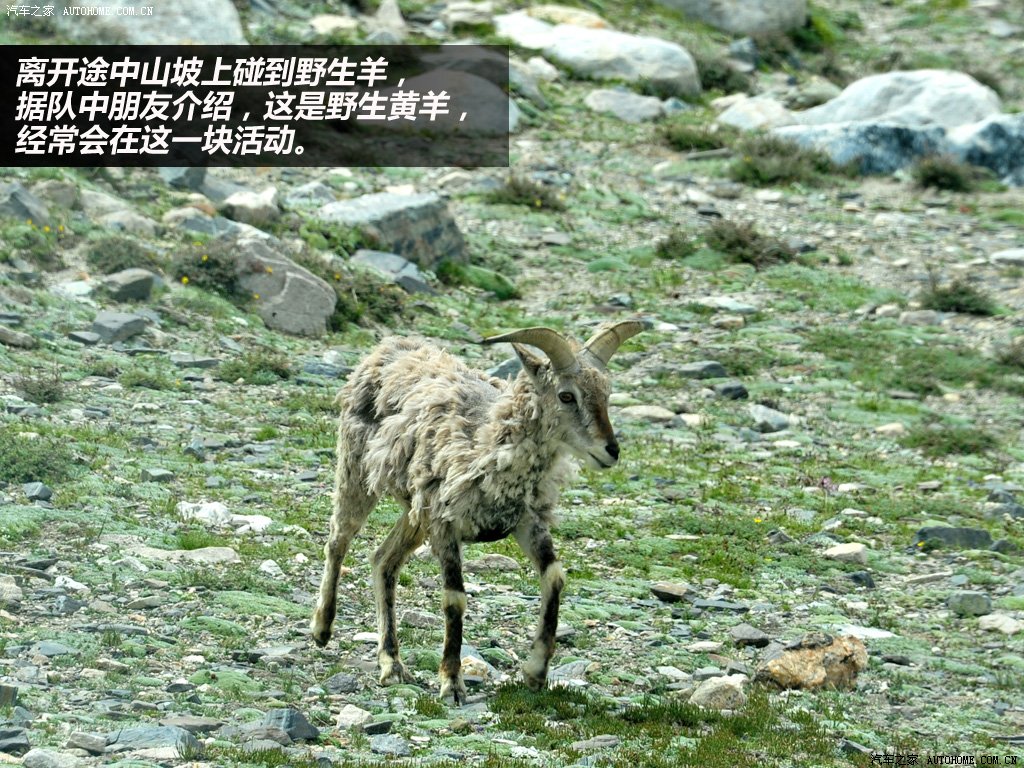֮