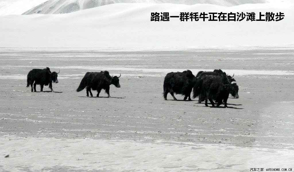 ֮