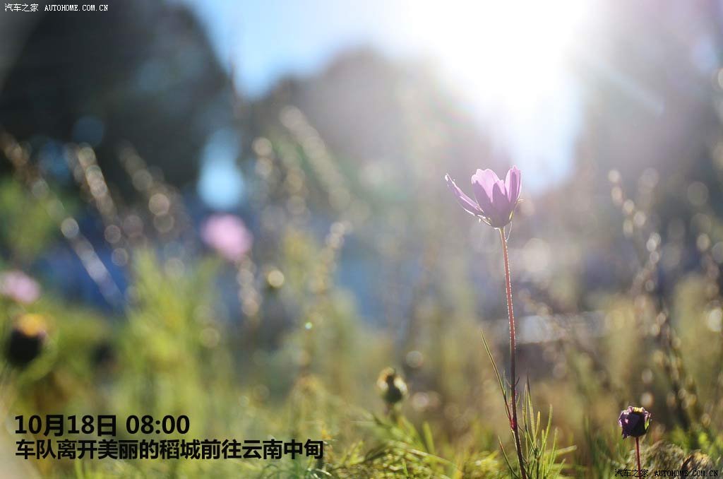 ֮