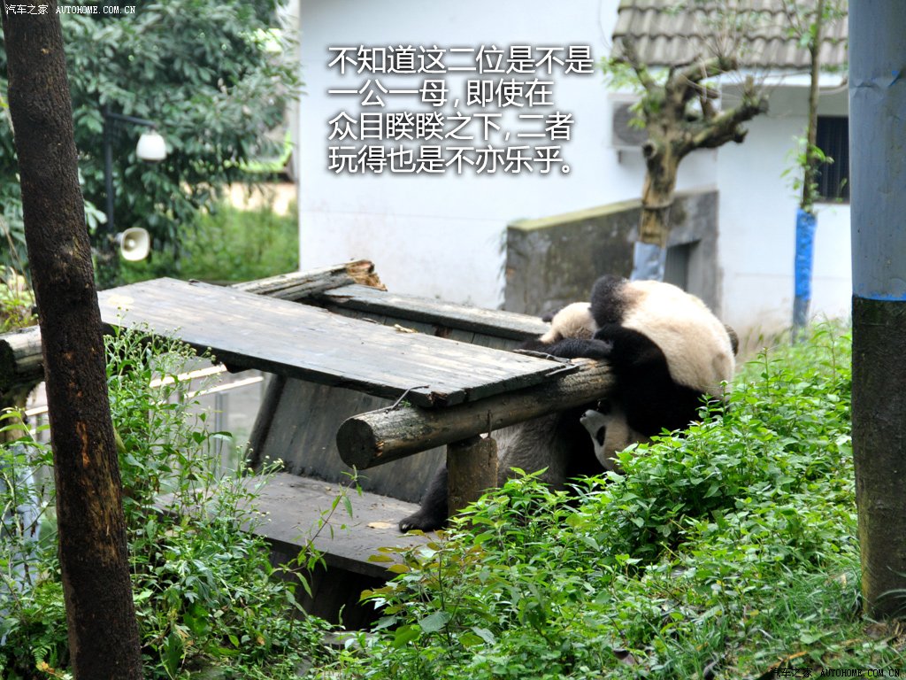 ֮
