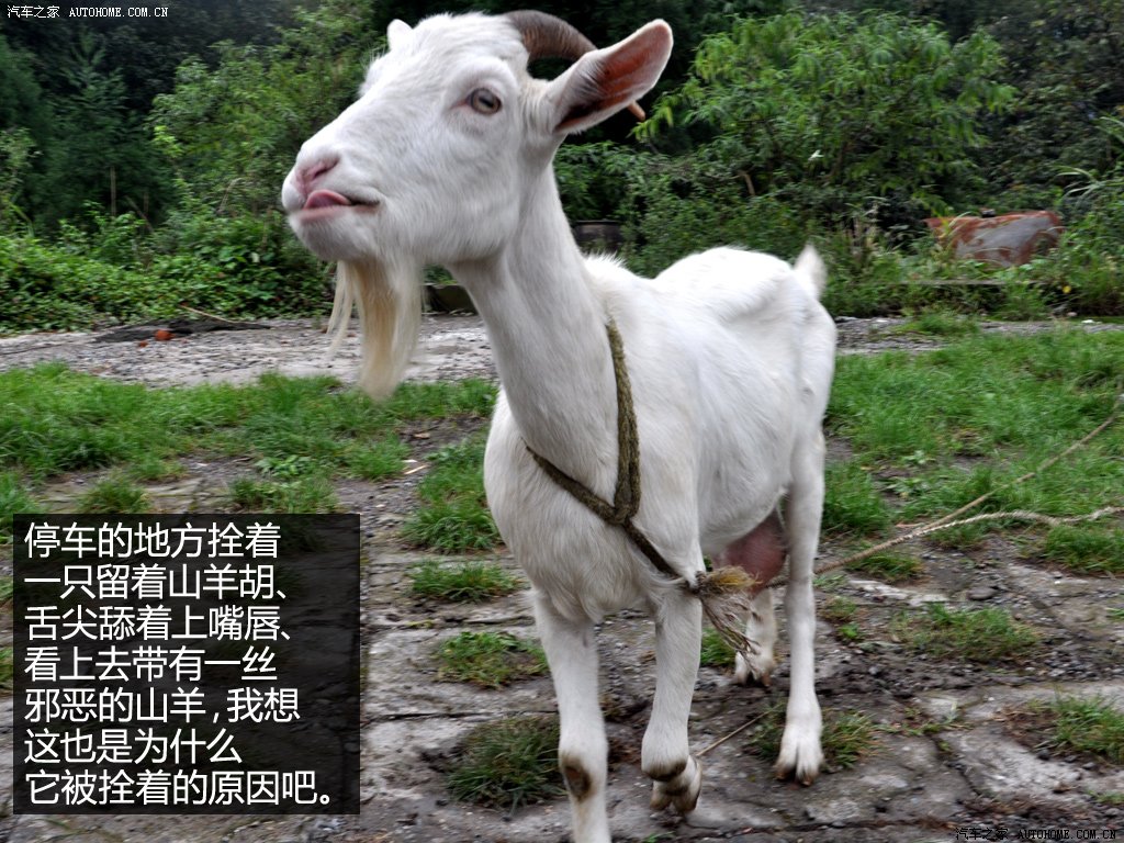 ֮